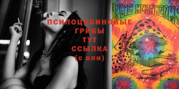 ECSTASY Ладушкин
