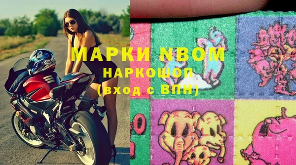 ECSTASY Ладушкин
