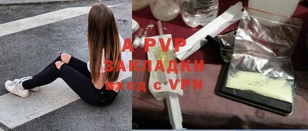 ECSTASY Ладушкин