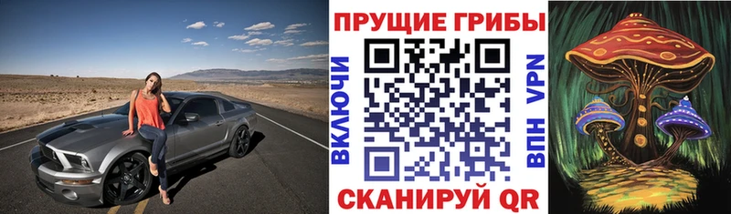 где продают   Обоянь  Галлюциногенные грибы Psilocybine cubensis 